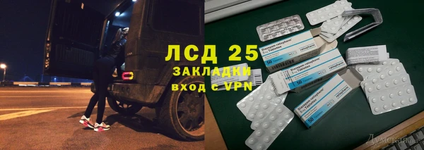 ПСИЛОЦИБИНОВЫЕ ГРИБЫ Алзамай