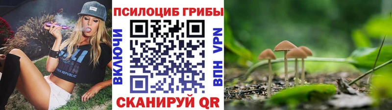 Галлюциногенные грибы MAGIC MUSHROOMS  hydra как зайти  Полевской 